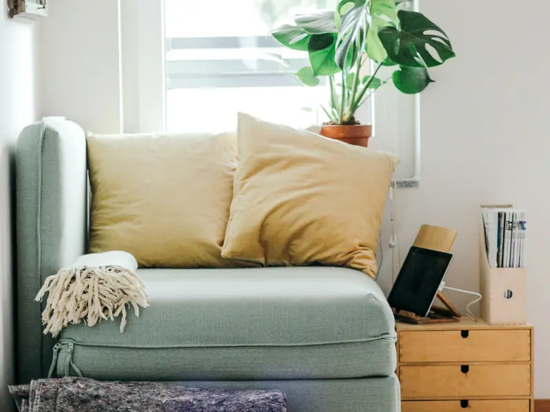 Séjour clair avec canapé et plantes lors d'une visite de logement